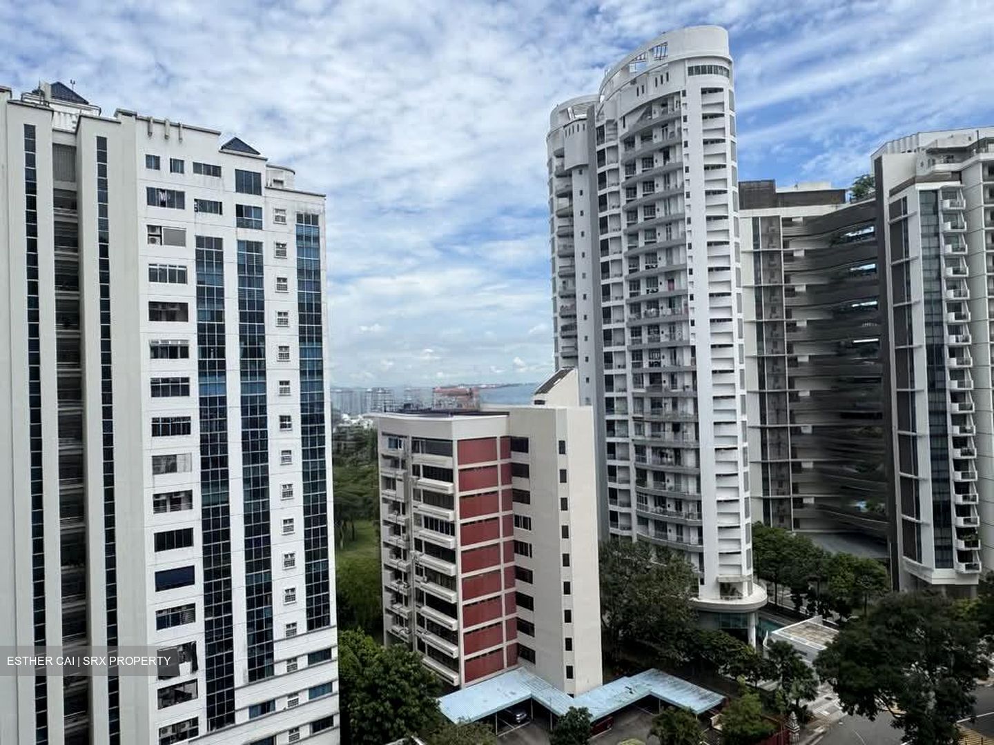 Amber Park (D15), Condominium #561839301